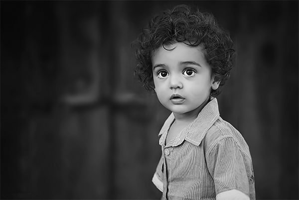 Birthday photography of Praesent fringilla blog01 free img